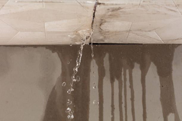 Professional Burst Pipe Cleanup technician working in Eva, AL
